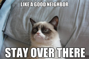 GrumpyCatOL