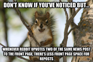 Conspiracy Nut Squirrel