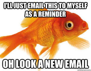 Forgetful Fish
