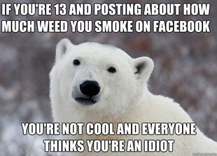 Popular Opinion Polar Bear