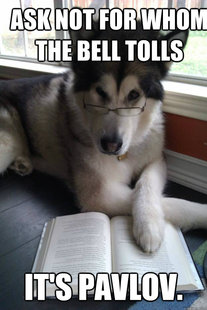 Condescending Literary Pun Dog