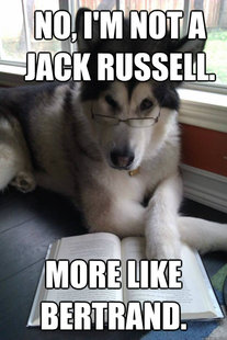 Condescending Literary Pun Dog