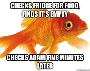 Forgetful Fish