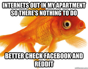 Forgetful Fish