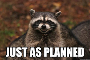 Evil Plotting Raccoon