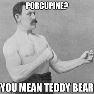 overly manly man