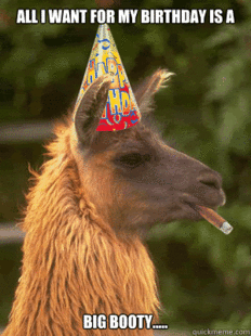 Llama