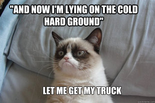 GrumpyCatOL