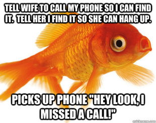 Forgetful Fish