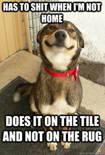 Good Dog Greg