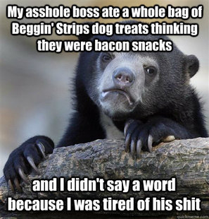 Confession Bear