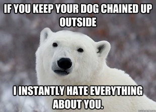 Popular Opinion Polar Bear