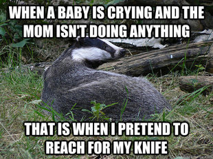 Bastard Badger