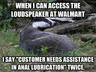 Bastard Badger