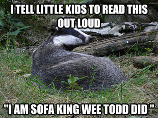 Bastard Badger