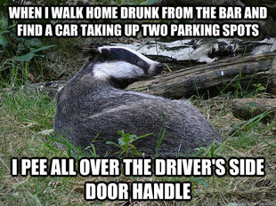 Bastard Badger