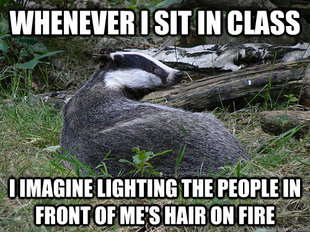Bastard Badger