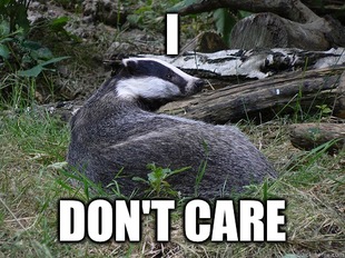 Bastard Badger