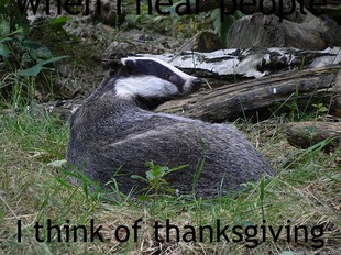 Bastard Badger