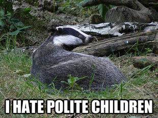Bastard Badger