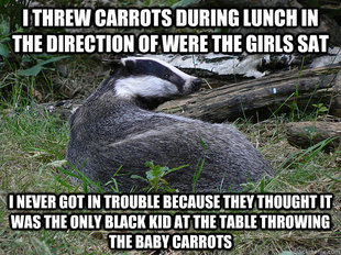 Bastard Badger
