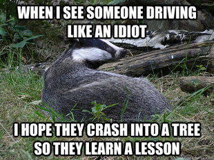 Bastard Badger