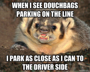 Bastard Badger