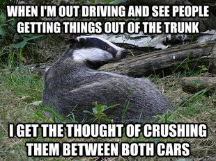 Bastard Badger