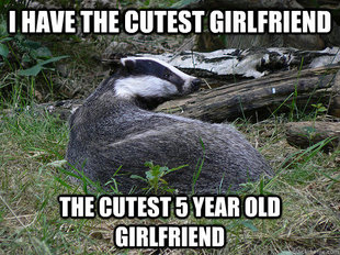 Bastard Badger