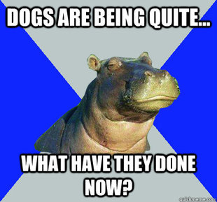 Skeptical Hippo