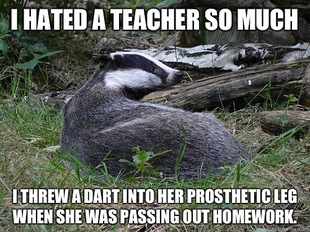 Bastard Badger