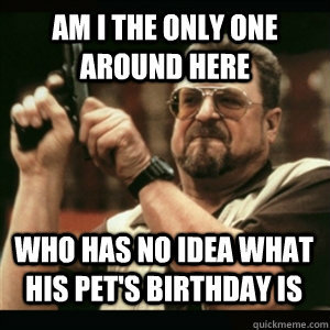 AM I THE ONLY ONE AROUND HERE