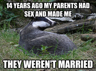 Bastard Badger
