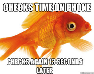 Forgetful Fish
