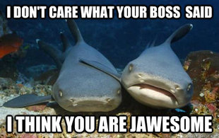 Compassionate Shark Friend