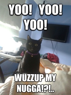 overly attached cat