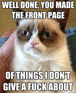 Grumpy Cat