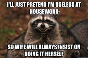 Evil Plotting Raccoon