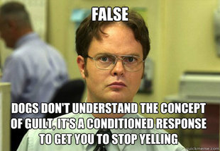 Dwight