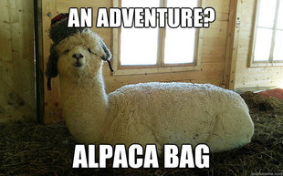 Llama