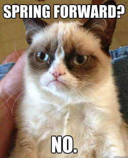 Grumpy cat