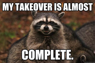 Evil Plotting Raccoon