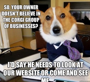 Lawyer Dog