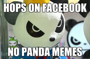 Annoyed Panda