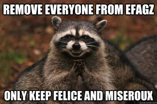 Evil Plotting Raccoon