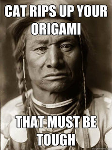 Unimpressed American Indian