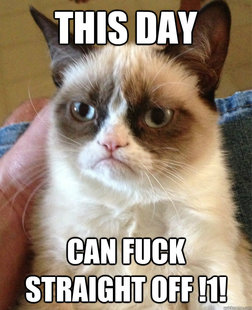 Grumpy cat