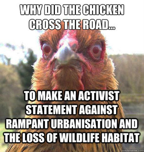 RageChicken