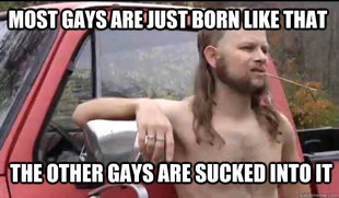 Almost Politically Correct Redneck