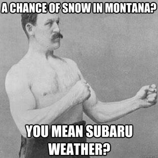 overly manly man